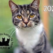 Kalender 2026