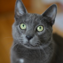 Caspian