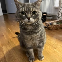 Zion