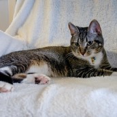 Jazz & Jax, March 29, 2017