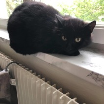 Vilja