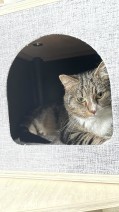 Oscar