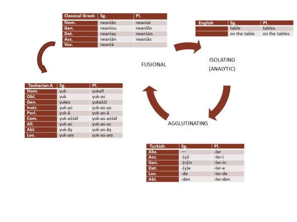 Illustration of the morphological cycle of case systems. Tocharian is an example of a mixed system which has moved in the opposite direction, from fusinal to agglutinating.. Illustration of the morphological cycle of case systems. Tocharian is an example of a mixed system which has moved in the opposite direction, from fusinal to agglutinating..
