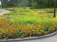 A lot of lovely parks A lot of lovely parks