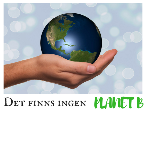 Entrprenörer Tillsammans uppmärksammar Världsmiljödagen! Entrprenörer Tillsammans uppmärksammar Världsmiljödagen!