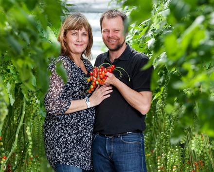 Susanne och Mats Olofsson driver Vikentomater. Susanne och Mats Olofsson driver Vikentomater.