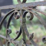 IMG_1069