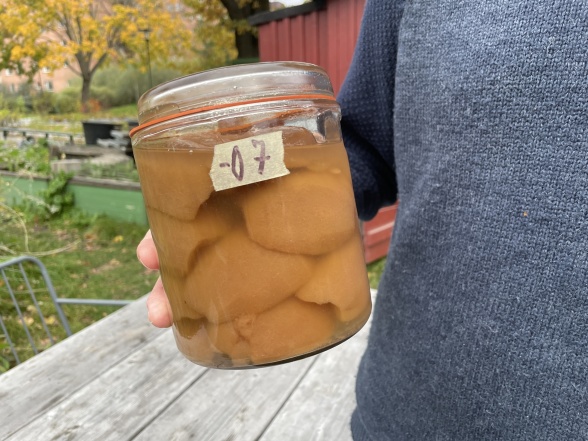 Päron från sommaren 2007, säkert lika goda nu, men framförallt ett kärt minne.