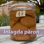 Inlagda_Paron