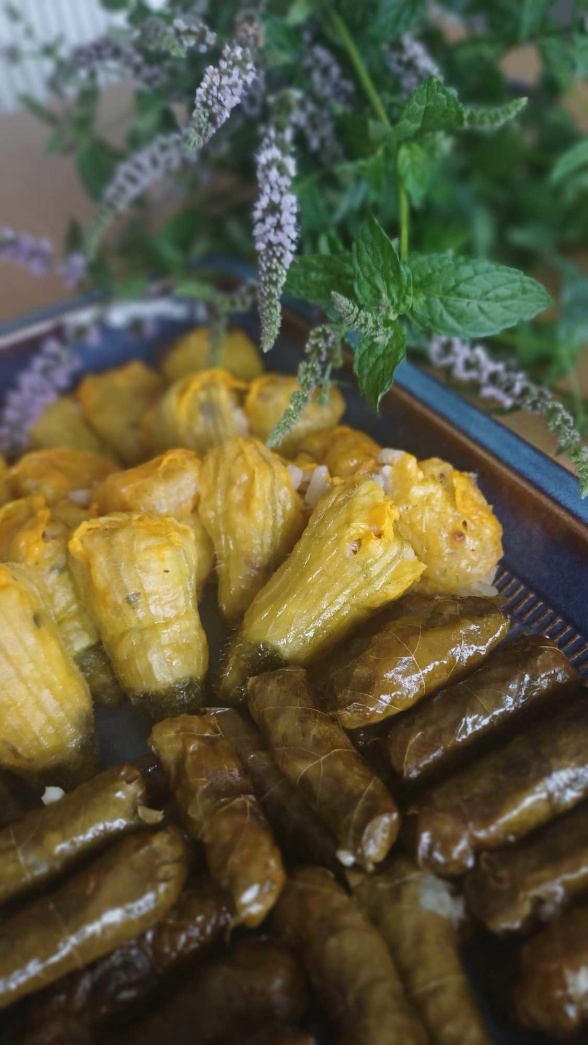 Dolma i succiniblommor och vinblad