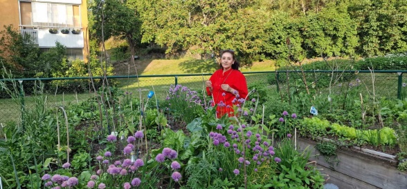 Maria i  odlingen på Vårbergsplan.