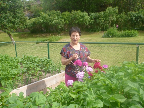 I odlingen på Vårbergsplan