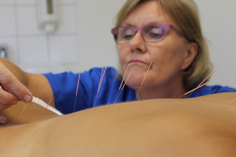 Behandling med traditionell Kinesisk Akupunktur hos Akupunkturkliniken i centrala Halmstad. Akupunktur vid smärta, utmattning, fertilitet, trötthet, stress, klimakteriebesvär och andra hormonella obalanser. Välkommen till Akupunkturkliniken i Halmstad! Behandling med traditionell Kinesisk Akupunktur hos Akupunkturkliniken i centrala Halmstad. Akupunktur vid smärta, utmattning, fertilitet, trötthet, stress, klimakteriebesvär och andra hormonella obalanser. Välkommen till Akupunkturkliniken i Halmstad!