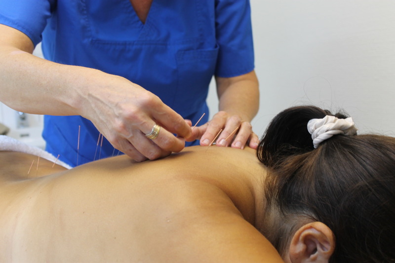 Akupunktur Halmstad – Akupunkturkliniken Halmstad behandling med traditionell Kinesisk akupunktur vid utmattning, smärta, foglossning, infertilitet, klimakterie och andra hormonella problem. Akupunktur Halmstad – Akupunkturkliniken Halmstad behandling med traditionell Kinesisk akupunktur vid utmattning, smärta, foglossning, infertilitet, klimakterie och andra hormonella problem.
