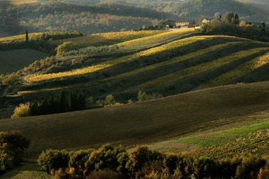 Toscanas höjder med svindlande utsikt.