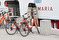 Ave Maria cykel II