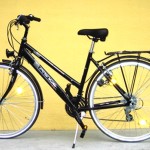 21 cykel 