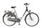 Bikkel-Arnhem-D-N7