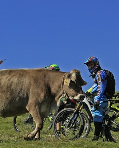 Mountainbike i bergen Mountainbike i bergen