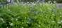 m_1179766110_218340