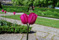gr_ns_slottspark_2007_058_1179674078_218338