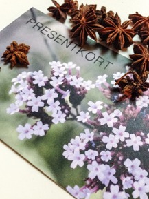 Köp presentkort hos form&flora Köp presentkort hos form&flora