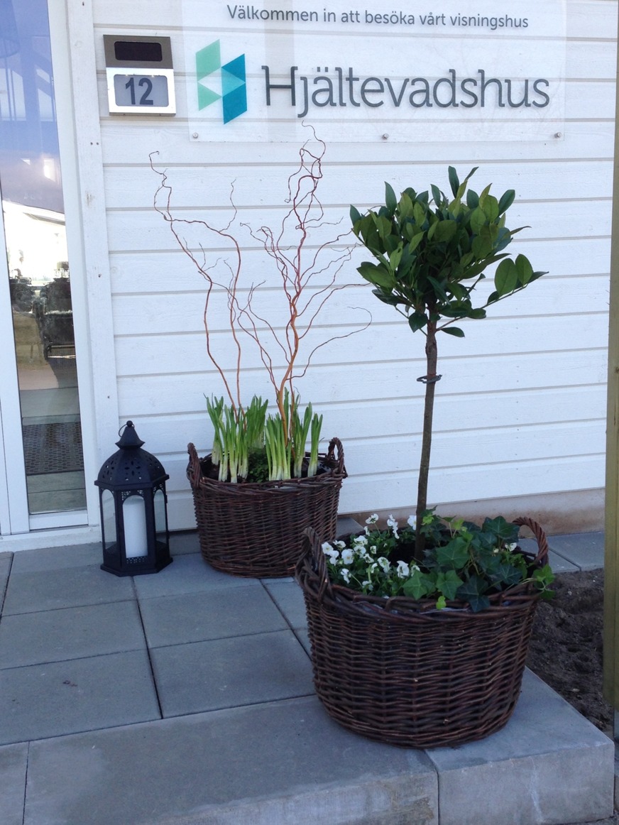 Exempel på plantering vid entré Exempel på plantering vid entré