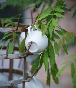 Hedentorps Plantskola Hedentorps Plantskola
