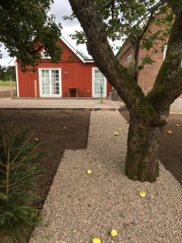 villaträdgård_drömmar&dofter_trädgårdsgång villaträdgård_drömmar&dofter_trädgårdsgång