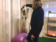 balansboll balansboll