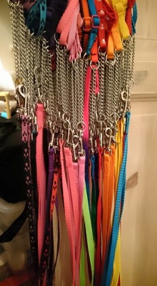 Halsband-koppel 120:- Halsband-koppel 120:-