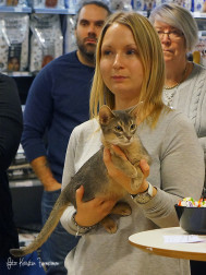 BÄSTA UNGDJUR/JUNIOR HONA - SE*Lugolino´s Aninja - abessinier. Ägare: Jessica Pettersson