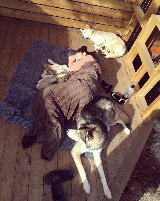 Matte ingår också i flocken och att vila samman är ofta en högt uppskattad aktivitet. Matte ingår också i flocken och att vila samman är ofta en högt uppskattad aktivitet.