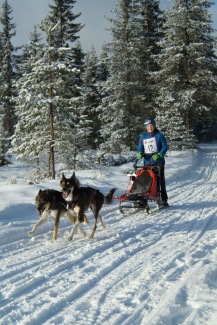 Elisabeth med sina två Alaskan huskies, Tiron och Espen. Foto:  Jose Perez