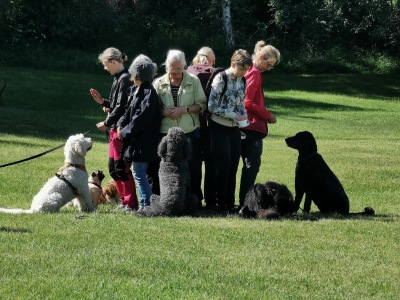 Allmänlydnad - Fortsättning, Anki Gaulitz, Start 15/8