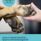 Gratis veterinärföreläsning, Anicura Djurklinik, 18/2