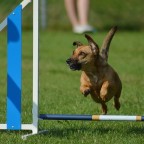 Prova-på agility, Linda Granqvist & Isa Pehrson, 18/5
