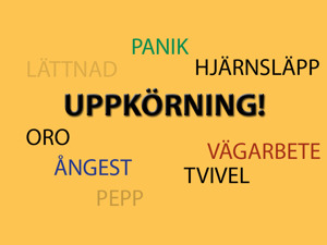 Så här såg det ut i min hjärna idag. Min första uppkörning blev en kaosartad historia. Men skam den som ger sig! Så här såg det ut i min hjärna idag. Min första uppkörning blev en kaosartad historia. Men skam den som ger sig!