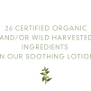 Abloom Organic Soothing Lotion