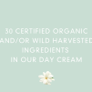 Abloom Organic Day Cream