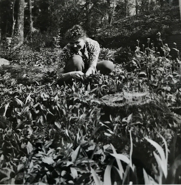 My mother gardening My mother gardening