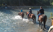 The author on the horse in the middle. Bow River