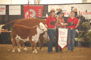 Grand Champion Female: WLB 36N Beth ET 452S. Born 2006. By HF 4L Beyond. Owned by Caylynne Brown, Cayley Cattle Company, Princeton.