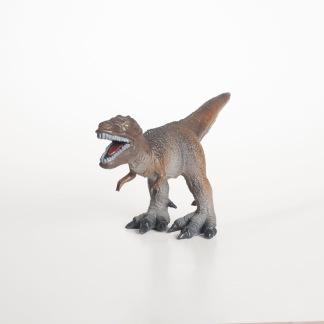 Tyrannosaurus Rex S - 