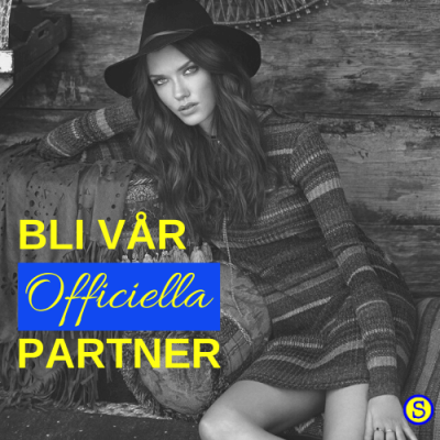 Bloggpartner Bloggpartner