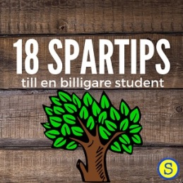 18 spartips till en billigare student