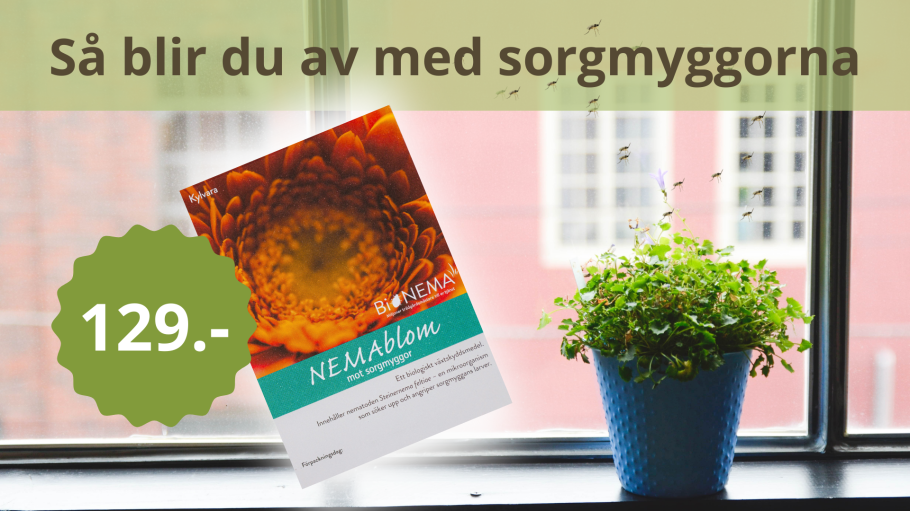 Nemablom är ett svensktillverkat biologiskt växtskyddsmedel  mot sorgmyggor - effektivt, miljövänligt och helt ofarligt.