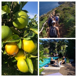 Yogaretreat för ledare på Sicilien. Vi plockar solmogna apelsiner i bergen och hjuter av en vandring i nationalpark utmed havet.