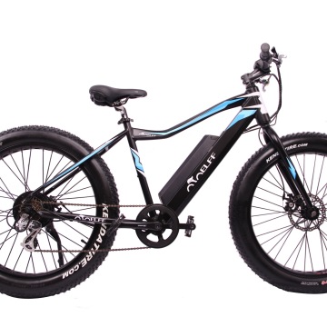 polar e bike