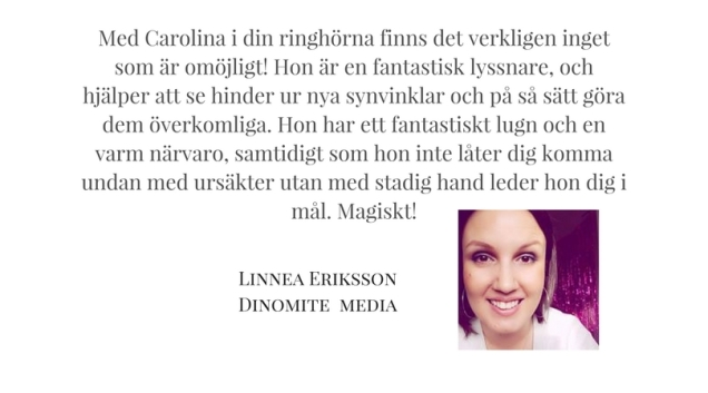 Linnea Eriksson Dinomite Media Linnea Eriksson Dinomite Media